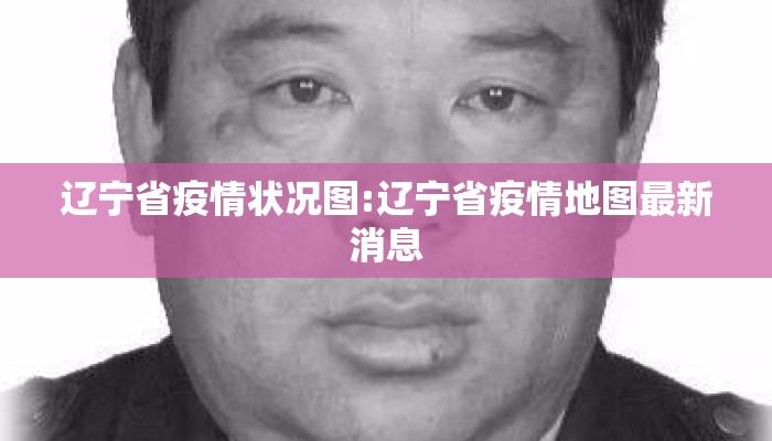 辽宁省疫情状况图:辽宁省疫情地图最新消息
