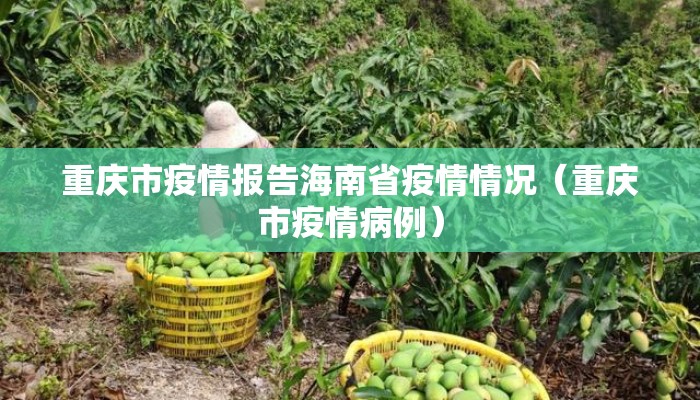 重庆市疫情报告海南省疫情情况（重庆市疫情病例）
