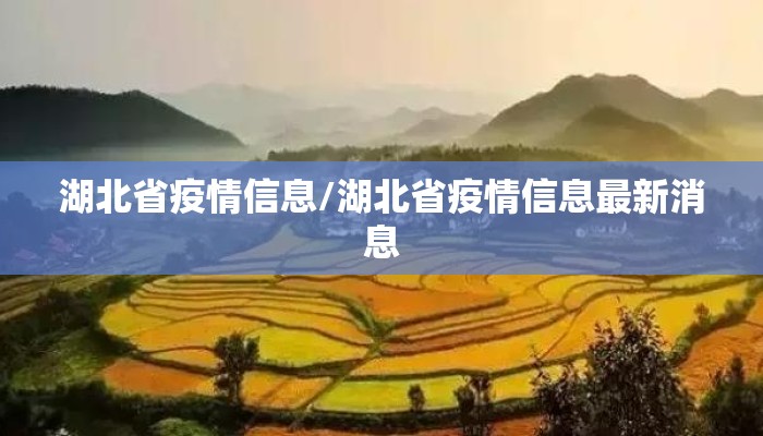 湖北省疫情信息/湖北省疫情信息最新消息