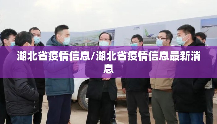 湖北省疫情信息/湖北省疫情信息最新消息