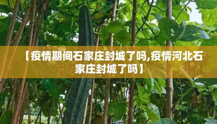 【疫情期间石家庄封城了吗,疫情河北石家庄封城了吗】