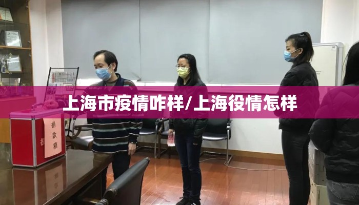 上海市疫情咋样/上海役情怎样