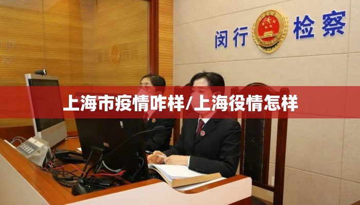 上海市疫情咋样/上海役情怎样