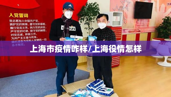 上海市疫情咋样/上海役情怎样