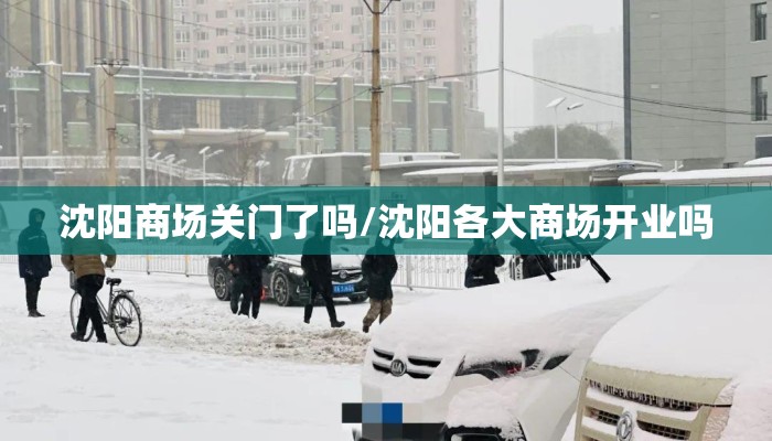 沈阳商场关门了吗/沈阳各大商场开业吗