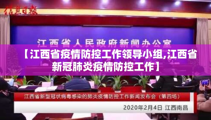 【江西省疫情防控工作领导小组,江西省新冠肺炎疫情防控工作】