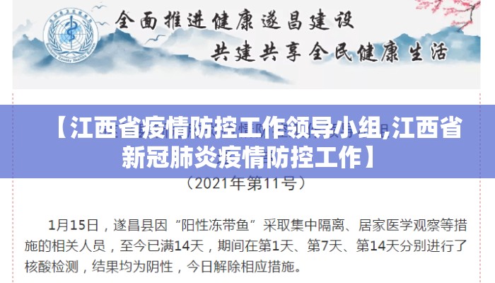 【江西省疫情防控工作领导小组,江西省新冠肺炎疫情防控工作】