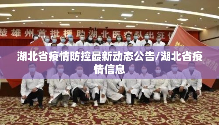 湖北省疫情防控最新动态公告/湖北省疫情信息