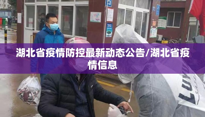 湖北省疫情防控最新动态公告/湖北省疫情信息
