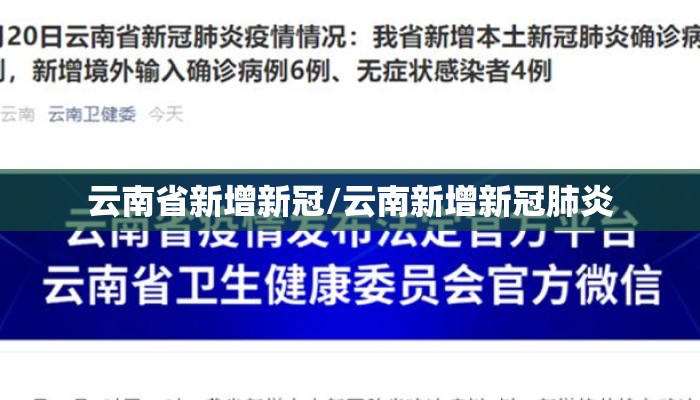 云南省新增新冠/云南新增新冠肺炎