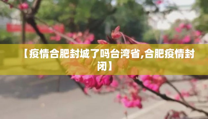 【疫情合肥封城了吗台湾省,合肥疫情封闭】