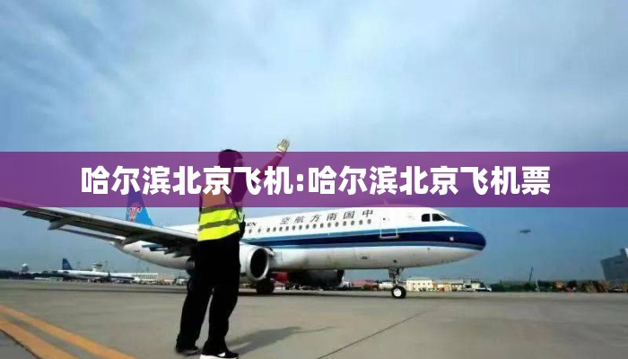 哈尔滨北京飞机:哈尔滨北京飞机票