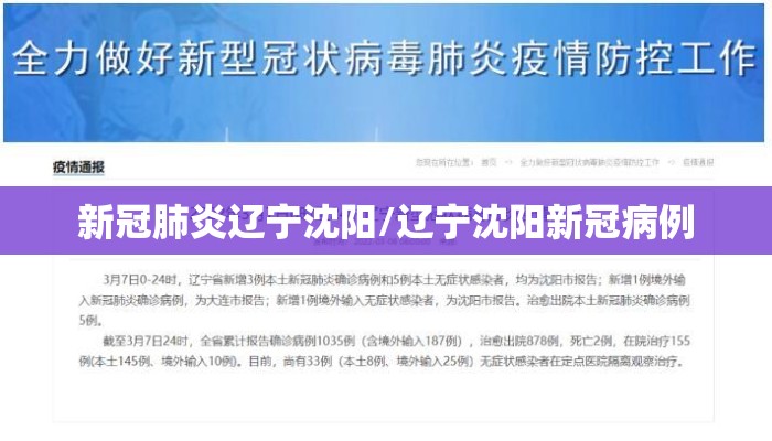 新冠肺炎辽宁沈阳/辽宁沈阳新冠病例