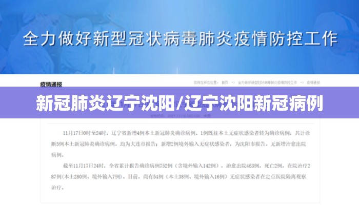 新冠肺炎辽宁沈阳/辽宁沈阳新冠病例