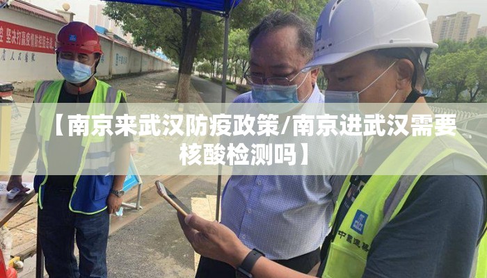 【南京来武汉防疫政策/南京进武汉需要核酸检测吗】