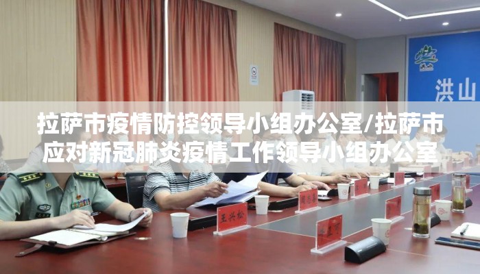 拉萨市疫情防控领导小组办公室/拉萨市应对新冠肺炎疫情工作领导小组办公室