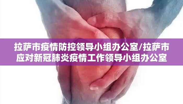 拉萨市疫情防控领导小组办公室/拉萨市应对新冠肺炎疫情工作领导小组办公室