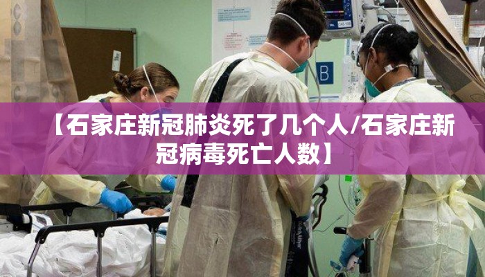【石家庄新冠肺炎死了几个人/石家庄新冠病毒死亡人数】