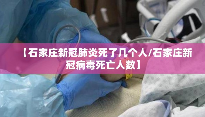 【石家庄新冠肺炎死了几个人/石家庄新冠病毒死亡人数】