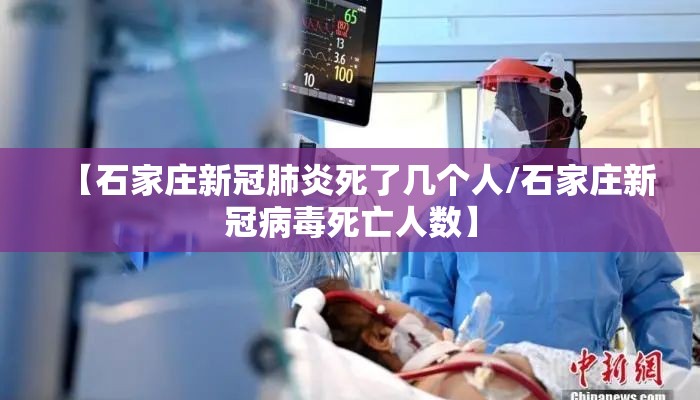 【石家庄新冠肺炎死了几个人/石家庄新冠病毒死亡人数】