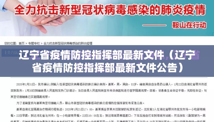 辽宁省疫情防控指挥部最新文件（辽宁省疫情防控指挥部最新文件公告）