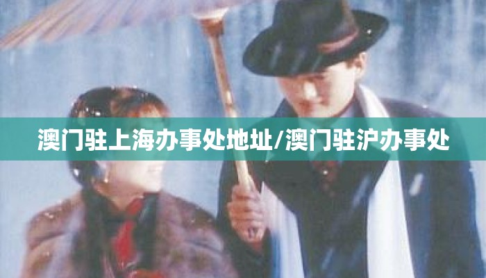澳门驻上海办事处地址/澳门驻沪办事处