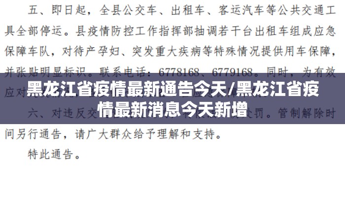 黑龙江省疫情最新通告今天/黑龙江省疫情最新消息今天新增