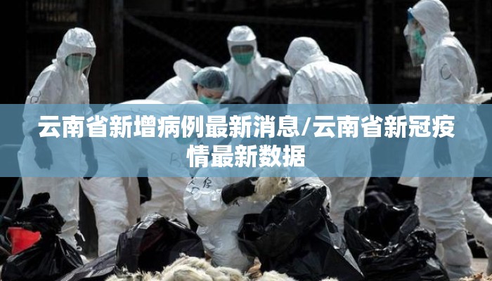 云南省新增病例最新消息/云南省新冠疫情最新数据
