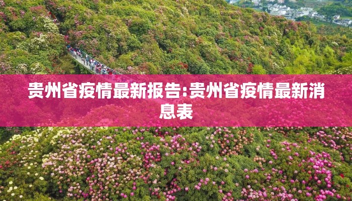 贵州省疫情最新报告:贵州省疫情最新消息表