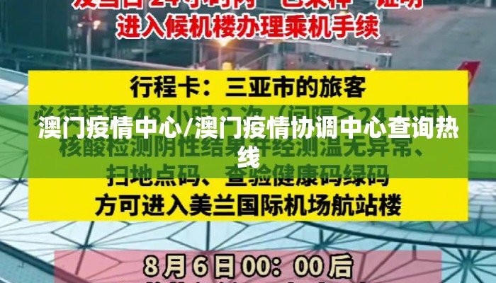 澳门疫情中心/澳门疫情协调中心查询热线