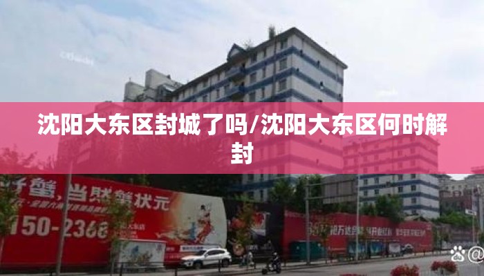 沈阳大东区封城了吗/沈阳大东区何时解封