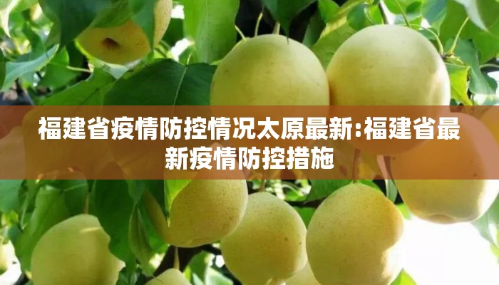 福建省疫情防控情况太原最新:福建省最新疫情防控措施