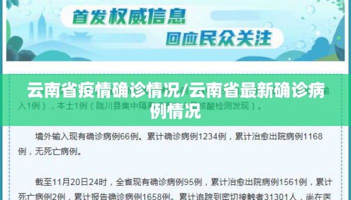 云南省疫情确诊情况/云南省最新确诊病例情况