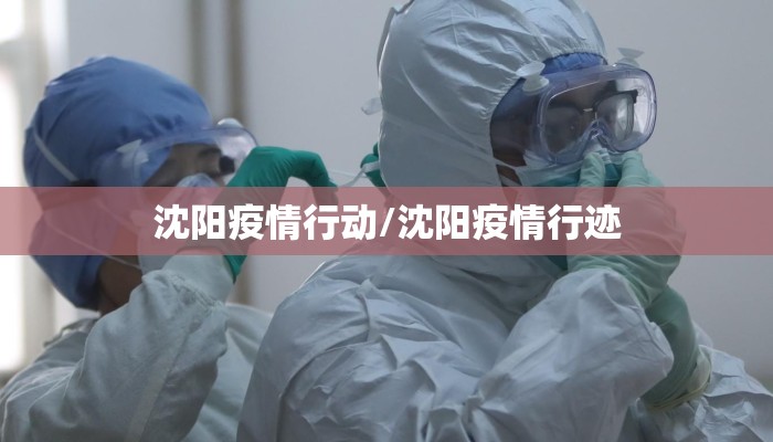 沈阳疫情行动/沈阳疫情行迹