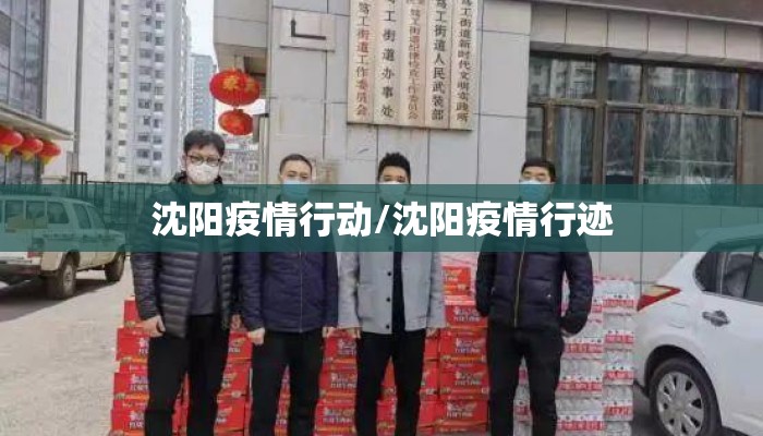 沈阳疫情行动/沈阳疫情行迹