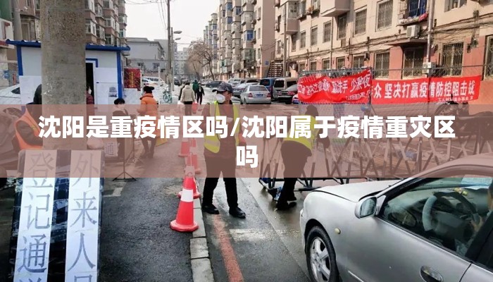 沈阳是重疫情区吗/沈阳属于疫情重灾区吗