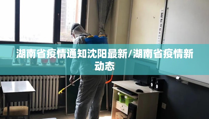 湖南省疫情通知沈阳最新/湖南省疫情新动态