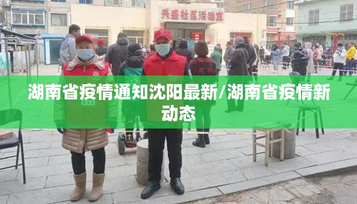 湖南省疫情通知沈阳最新/湖南省疫情新动态