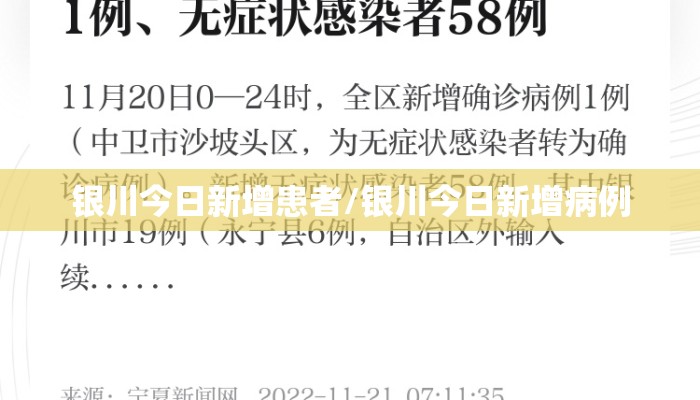 银川今日新增患者/银川今日新增病例