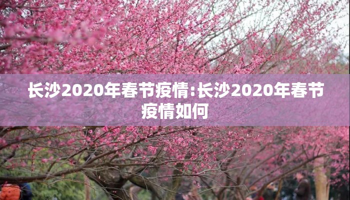 长沙2020年春节疫情:长沙2020年春节疫情如何