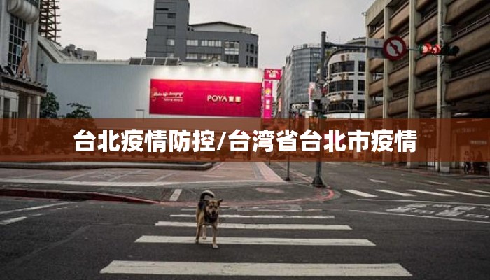 台北疫情防控/台湾省台北市疫情
