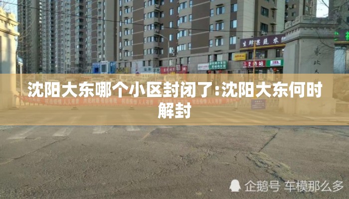 沈阳大东哪个小区封闭了:沈阳大东何时解封