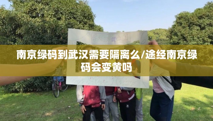 南京绿码到武汉需要隔离么/途经南京绿码会变黄吗