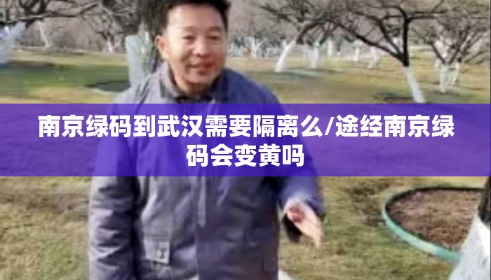 南京绿码到武汉需要隔离么/途经南京绿码会变黄吗