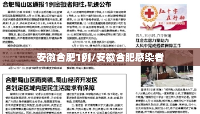 安徽合肥1例/安徽合肥感染者