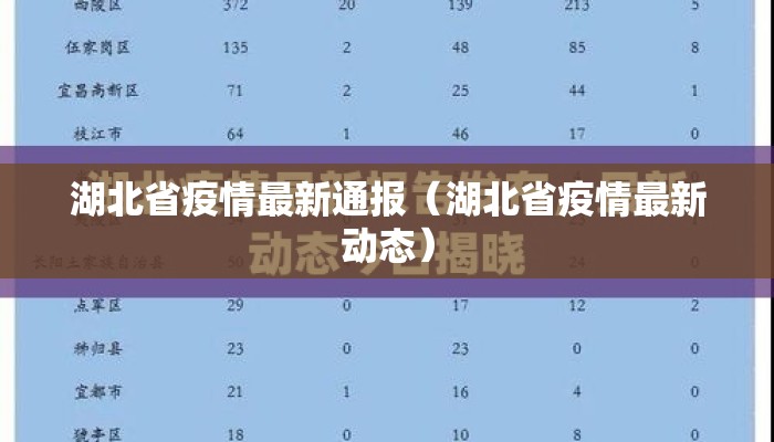 湖北省疫情最新通报（湖北省疫情最新动态）