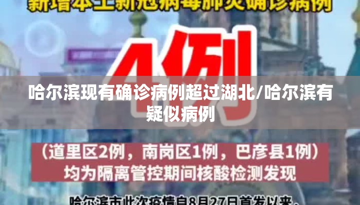 哈尔滨现有确诊病例超过湖北/哈尔滨有疑似病例