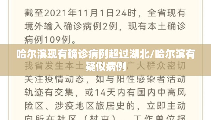 哈尔滨现有确诊病例超过湖北/哈尔滨有疑似病例