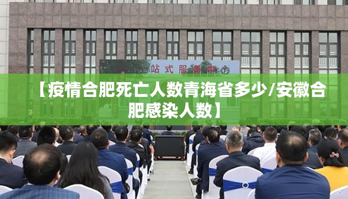 【疫情合肥死亡人数青海省多少/安徽合肥感染人数】