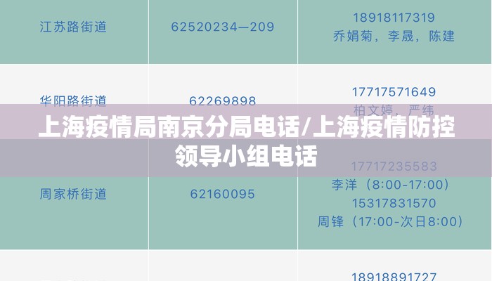 上海疫情局南京分局电话/上海疫情防控领导小组电话